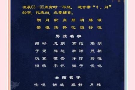 2019年6月18号卯时出生的男孩应该起什么样的名字姓名