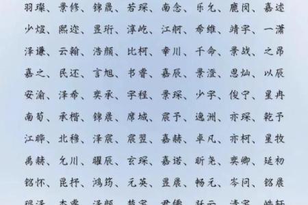 早上9点出生的属鼠男孩要如何起名姓名