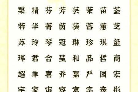 哪些字适合给早上7点出生的属鼠男孩起名姓名