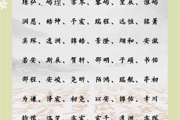 2019年4月2号辰时出生的男孩应该起什么样的名字姓名