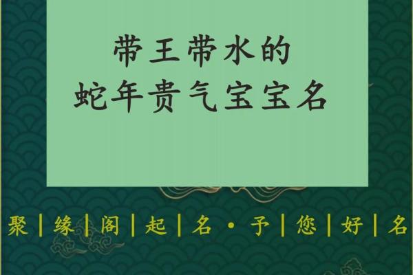 晚上11点出生的属蛇男孩如何起名，宜用哪些字姓名
