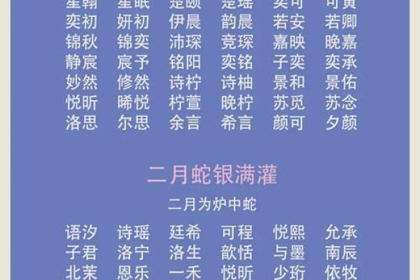 晚上11点出生的属蛇男孩如何起名，宜用哪些字姓名