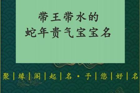 晚上11点出生的属蛇男孩如何起名，宜用哪些字姓名
