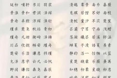 2019年3月21号未时出生的男孩要怎么起名字姓名