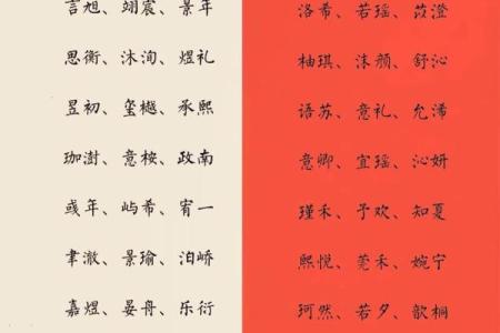 2019年3月16号巳时出生的男孩要怎么起名字姓名