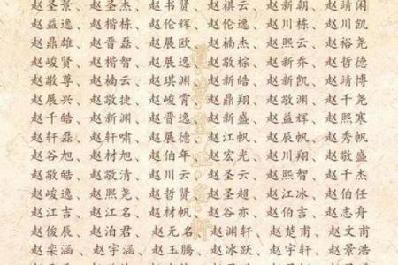 2019年3月18号亥时出生的男孩如何起名姓名