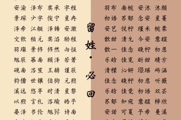 2019年3月25号亥时出生的男孩起名方法姓名 2019年3月25号亥时出生的男孩起名方法姓名