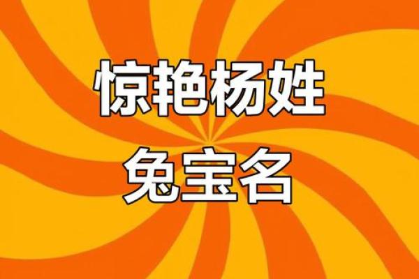 11月份出生的属兔男孩应如何取名字姓名