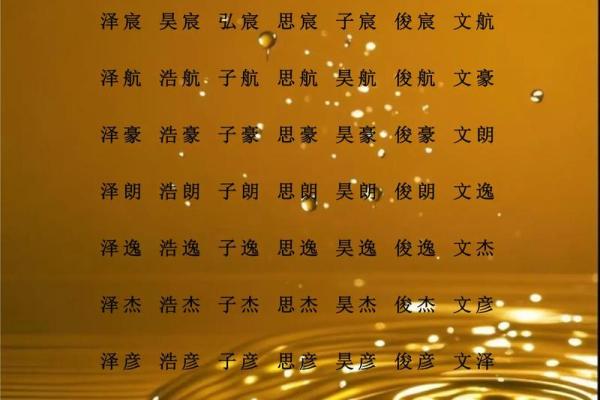 2019年5月17号子时出生的男孩如何起名姓名