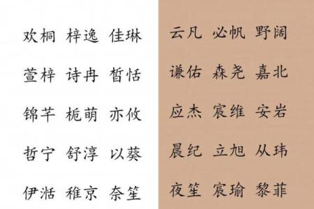 2019年6月14号卯时出生的男孩如何起名姓名