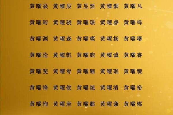 中午12点出生的属羊男孩起什么名，适合什么字姓名