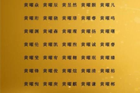 中午12点出生的属羊男孩起什么名，适合什么字姓名