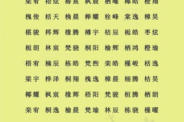 什么名字适合上午出生的属牛男孩姓名