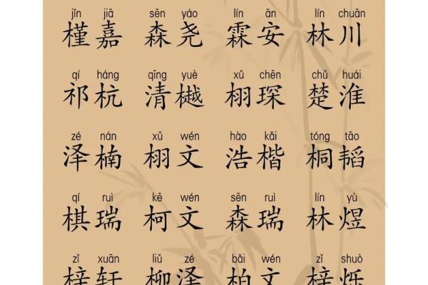 2019年6月17号卯时出生的男孩要怎么起名字姓名