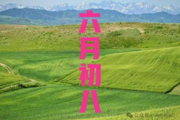 阴历八月初八是结婚吉日(九月初八结婚吉日查询)