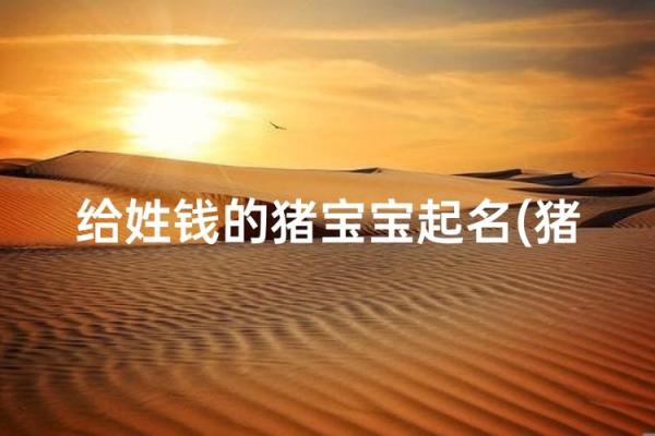 5月份出生的属猪男孩该怎么起名姓名