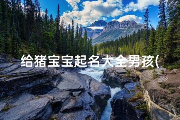 5月份出生的属猪男孩该怎么起名姓名