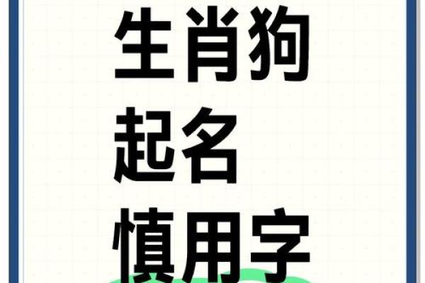 2018年属狗女宝宝如何取名，取什么名字寓意好？-华易网姓名