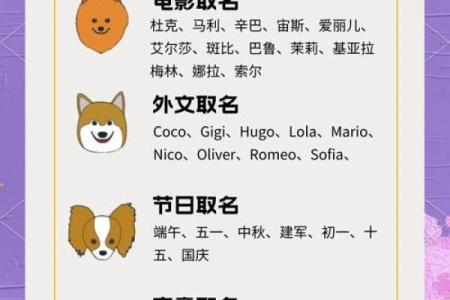 2018年属狗女宝宝如何取名，取什么名字寓意好？-华易网姓名