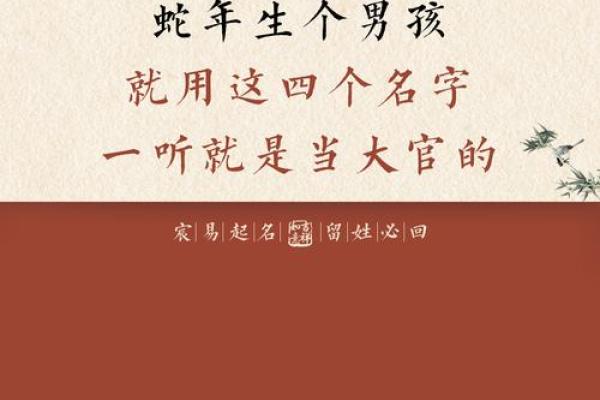 8月份出生的属蛇男孩适合起哪些名字姓名