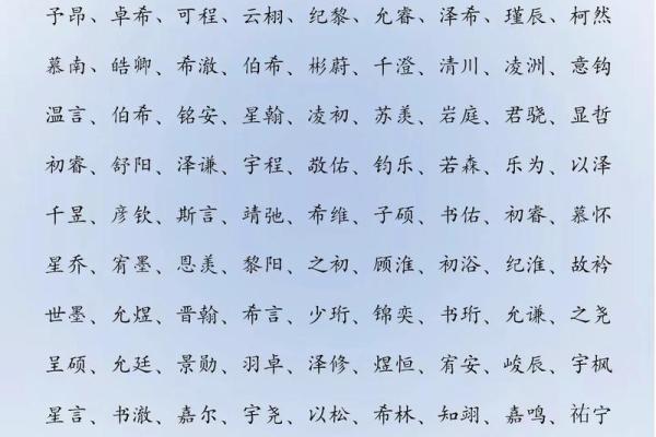 2019年5月17号寅时出生的男孩起名方法姓名