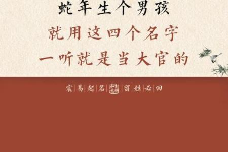 8月份出生的属蛇男孩适合起哪些名字姓名