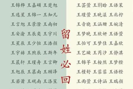 属猴辛时出生的男孩应该如何起名，用什么字好姓名