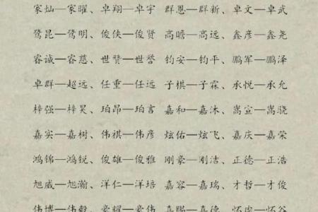 给双胞胎男宝宝的取名的两种方法和有寓意的名字-姓名学-华易网姓名