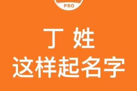 丁姓男孩名字大全-丁姓男孩起名字大全-丁姓名字大全姓名