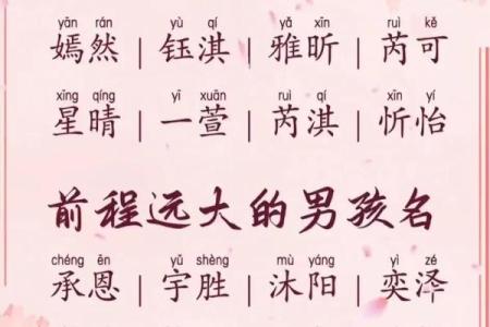 2019年4月28号子时出生的男孩应该起什么样的名字姓名
