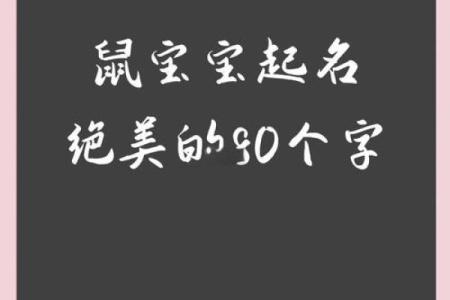 什么字适合给晚上11点出生的属鼠男孩起名姓名