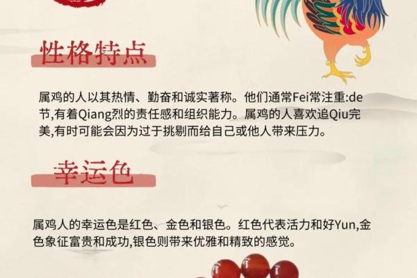 教你给属鸡酉时出生的男孩起名的实用技巧姓名