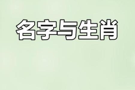 下午四点出生的属猴男孩取什么名，用什么字姓名