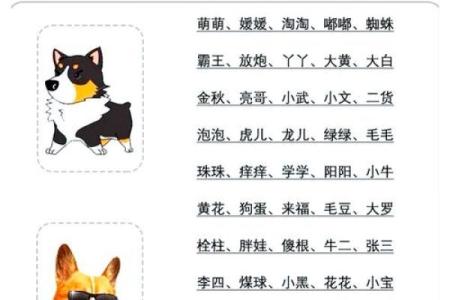4月份出生的属狗男孩起什么名字好姓名