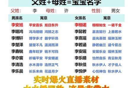皮姓男孩名字大全-皮姓男孩起名字大全-皮姓名字大全姓名