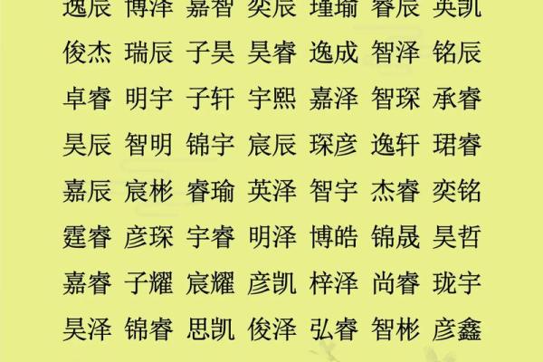 2019年3月22号寅时出生的男孩应该起什么样的名字姓名