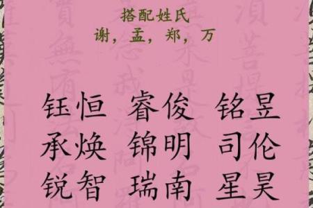 2019年3月22号酉时出生的男孩应该起什么样的名字姓名