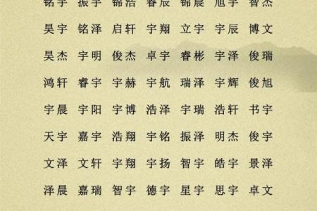 要给凌晨4点出生的属猴男孩取名字宜用什么字姓名