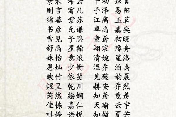 2019年5月29号寅时出生的男孩应该起什么样的名字姓名