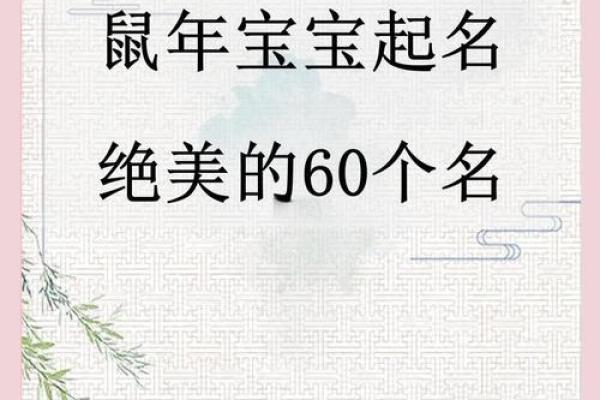 给属鼠子时出生的男孩取名的小妙招姓名