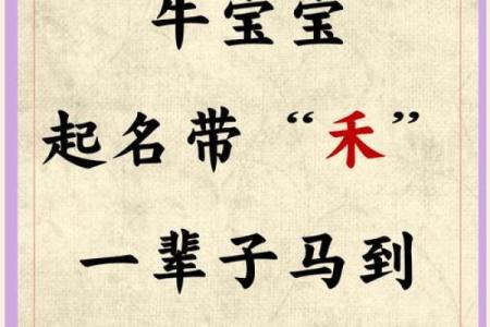 午时出生的属牛男孩适合用哪些字起名姓名
