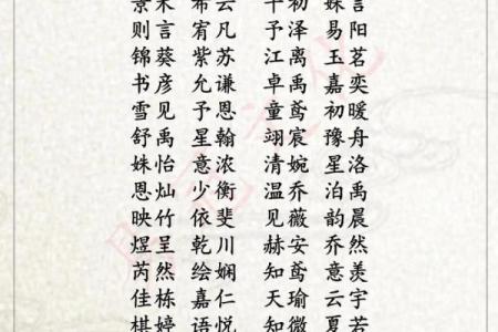2019年5月29号寅时出生的男孩应该起什么样的名字姓名