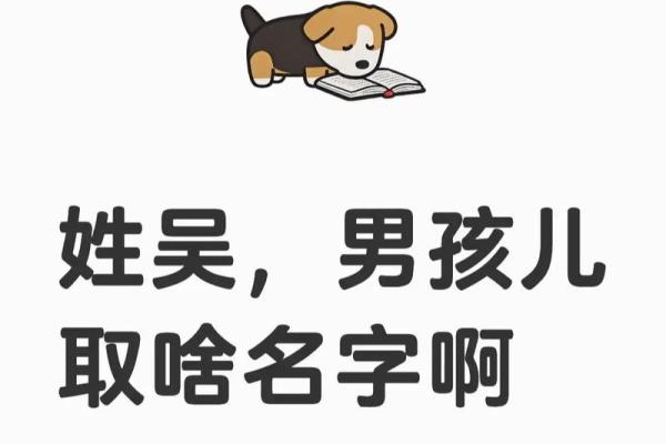2019年出生的姓吴男孩如何起名，宜用什么字姓名