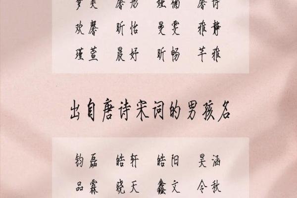 2019年4月25号寅时出生的男孩如何起名姓名
