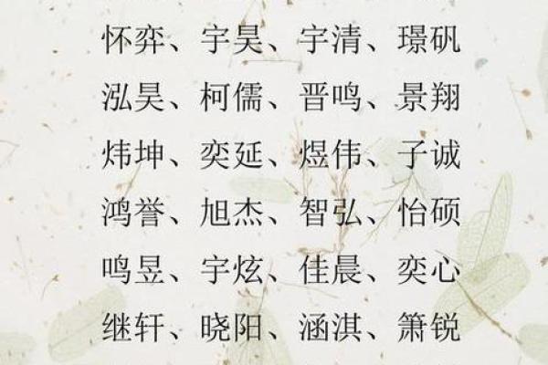 2019年4月25号寅时出生的男孩如何起名姓名