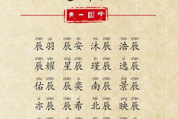 属猪辰时出生的男孩如何取名字，宜用什么字姓名