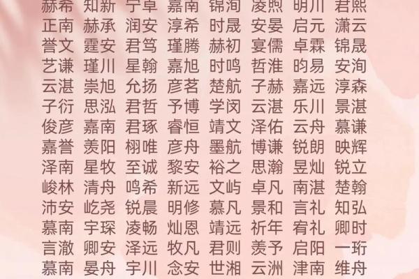 2019年3月23号辰时出生的男孩如何起名姓名