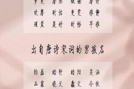 2019年4月25号寅时出生的男孩如何起名姓名