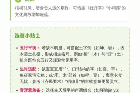 要怎么给晚上12点出生的属鼠男孩起名合适姓名