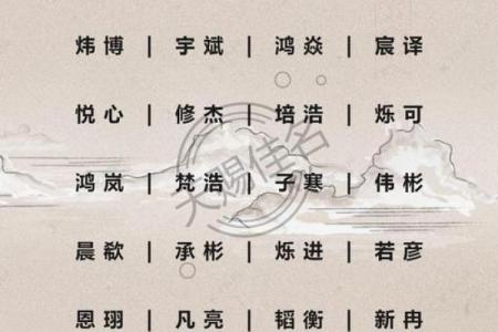 上午11点出生的属鸡男孩适合怎么样取名字姓名